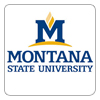 Montana State University logo